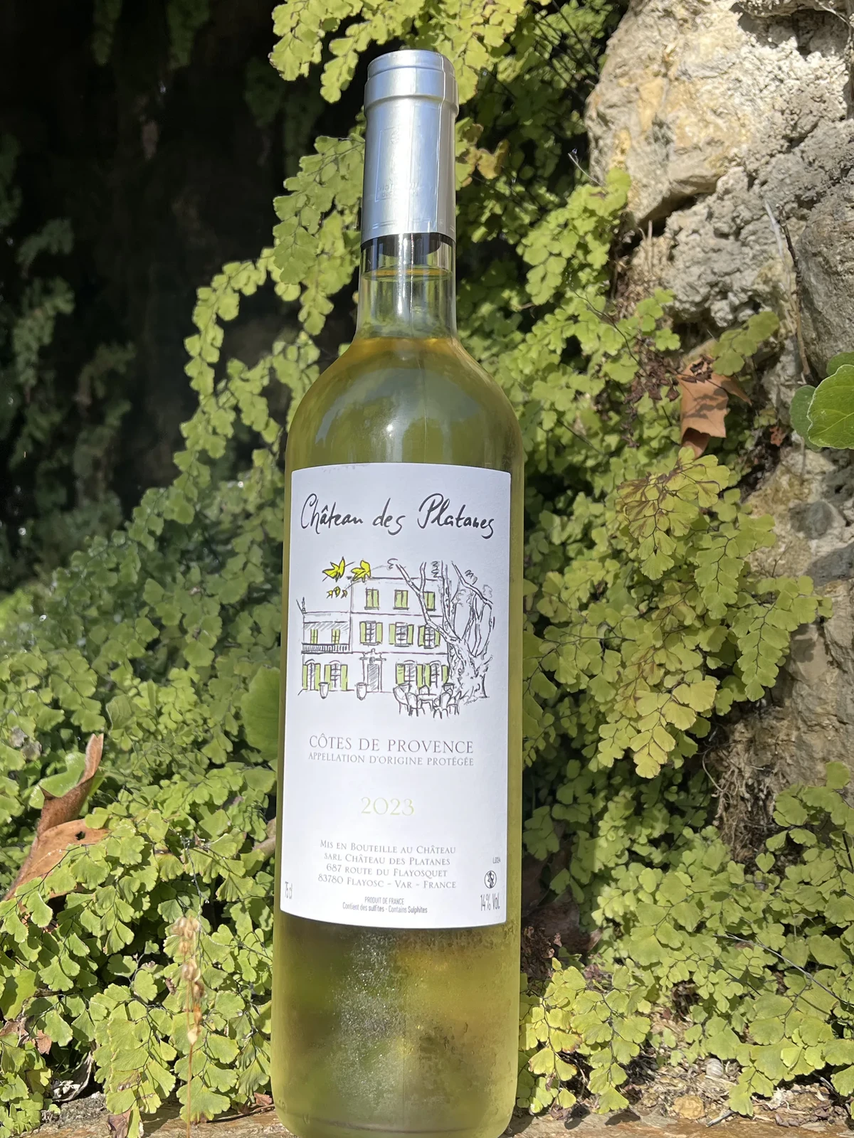 Côtes de Provence blanc 2023