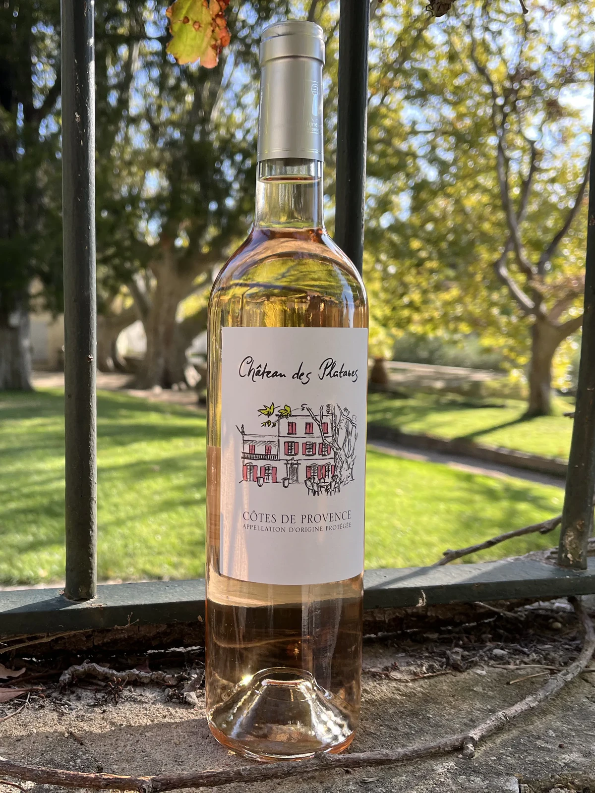 Côtes de Provence Rosé 2025