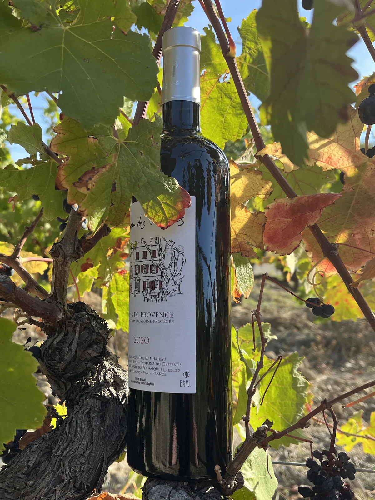 Côtes de Provence rouge 2020