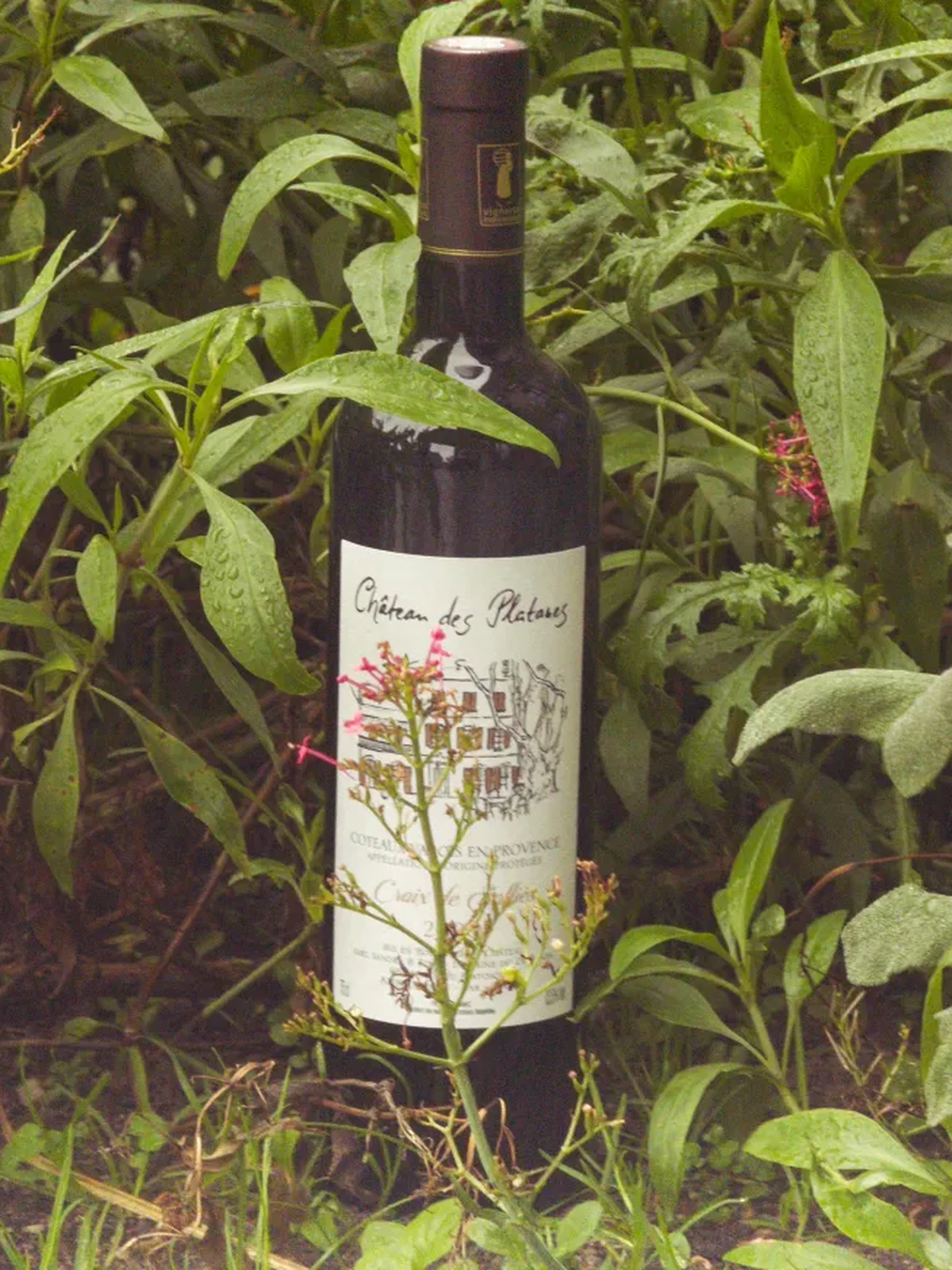 Croix de Solliès rouge 2020