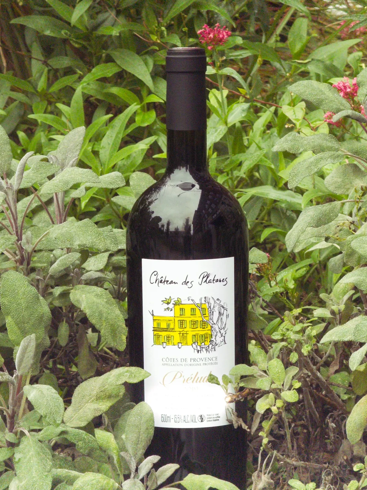 Cuvée Prélude 2019